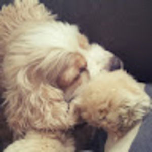 Meet your Posher, Meredith